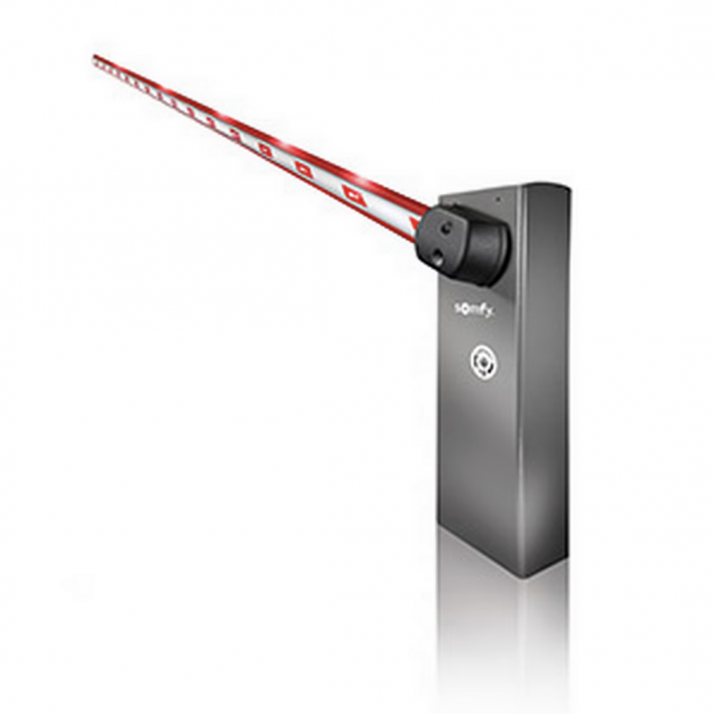 Barrière automatique Levixo 60 Marque SOMFY – Image 3