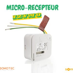 SOMFY Micro-récepteur IZYMO