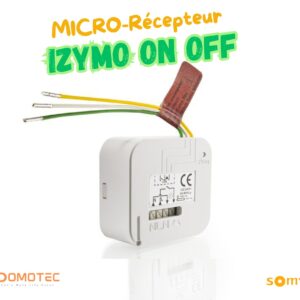 SOMFY Micro-récepteur IZYMO ON OFF.